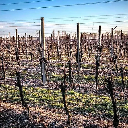 Il Casone Zoppola
