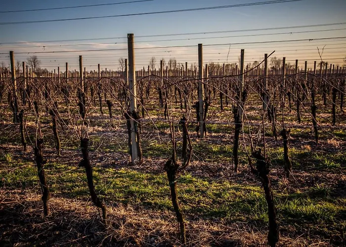 Bed & Breakfast Il Casone Zoppola